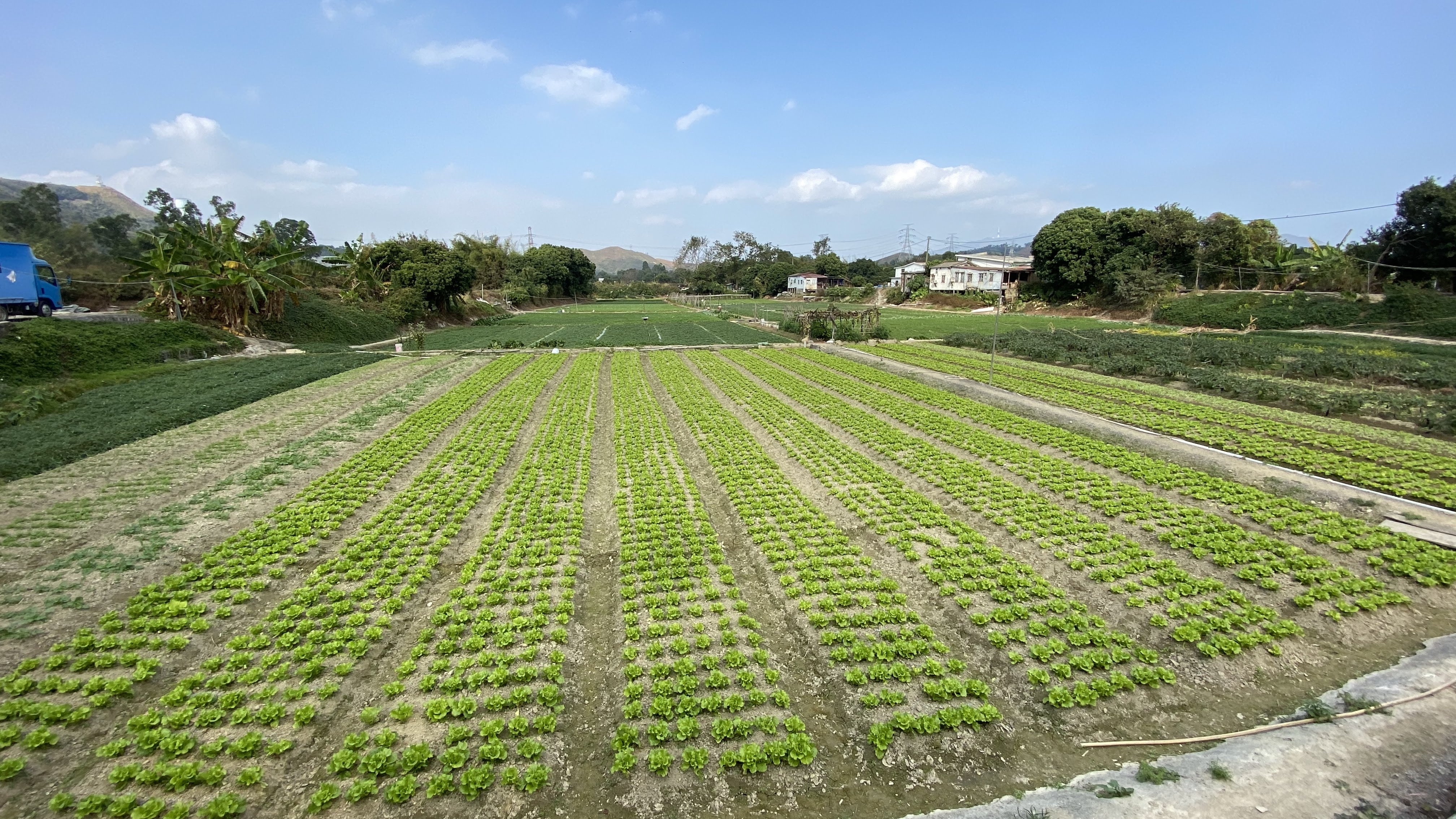 考察農地與農地生活的生物