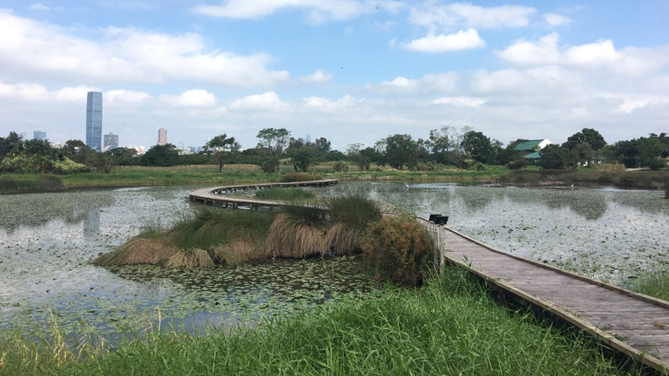 考察濕地及棲息在內的生物