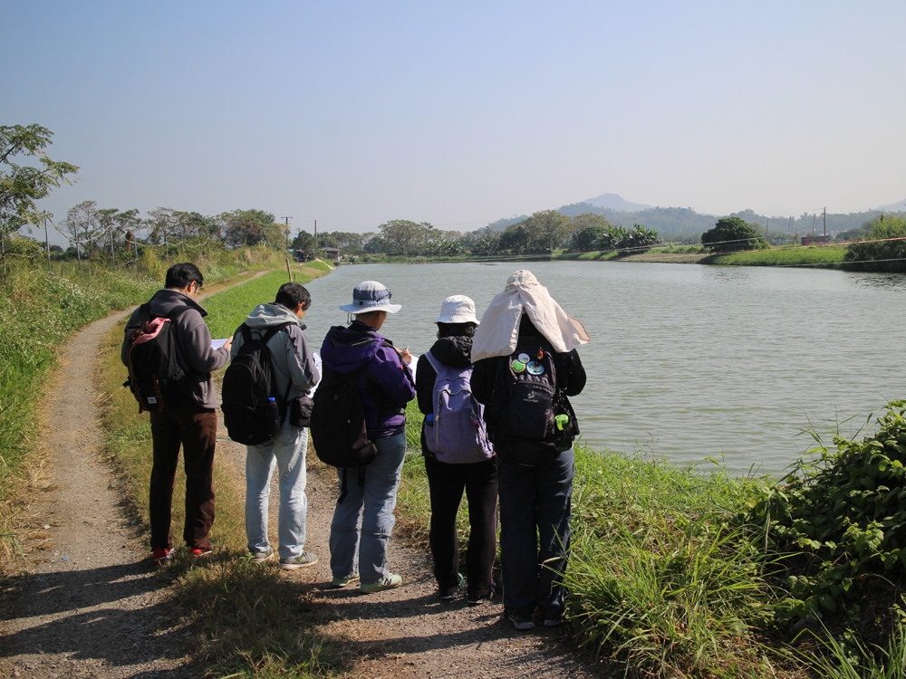 waterbirdcount005