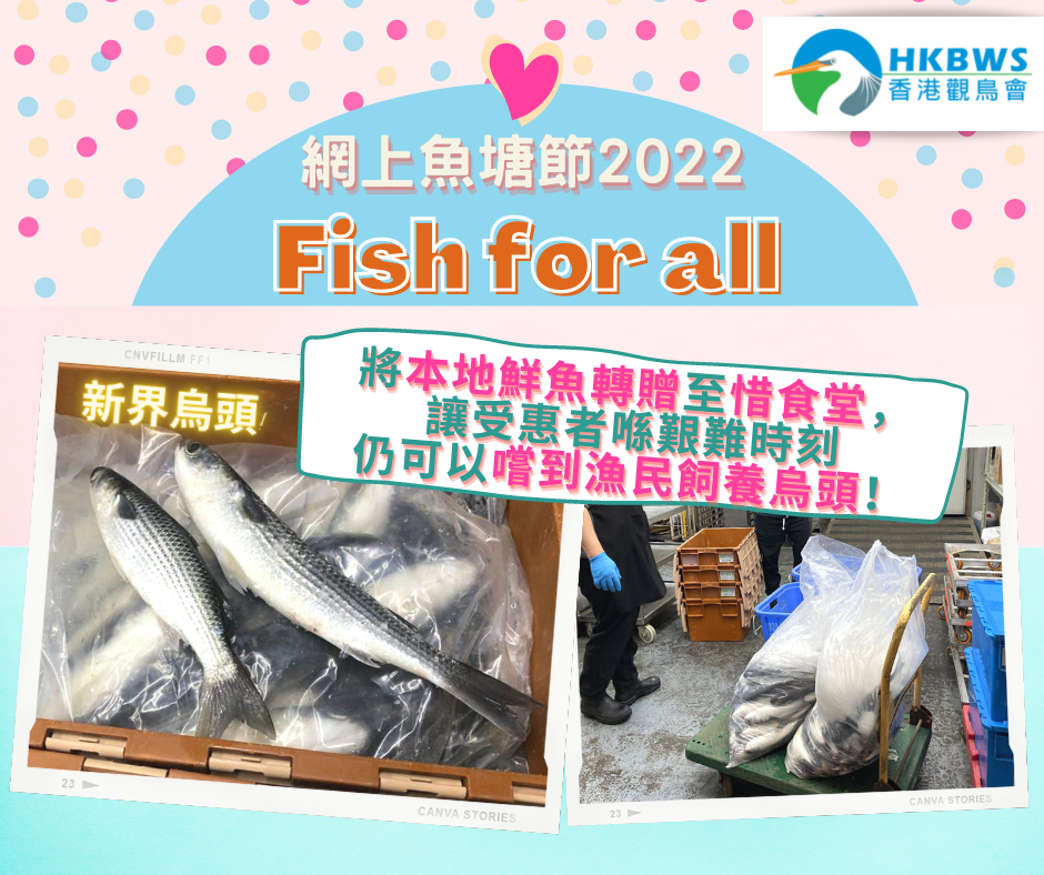 fishforall