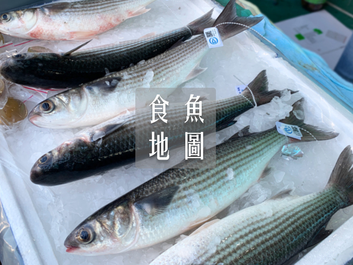 食魚地圖啟動：尋找屬於香港的味道