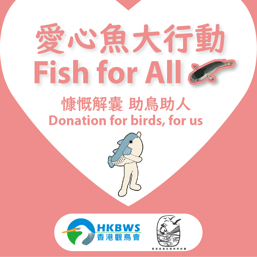 愛心魚贈送計劃2025