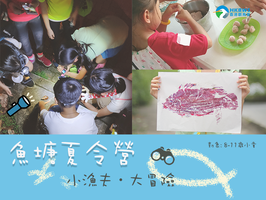 魚塘夏令營 - 小漁夫‧大冒險