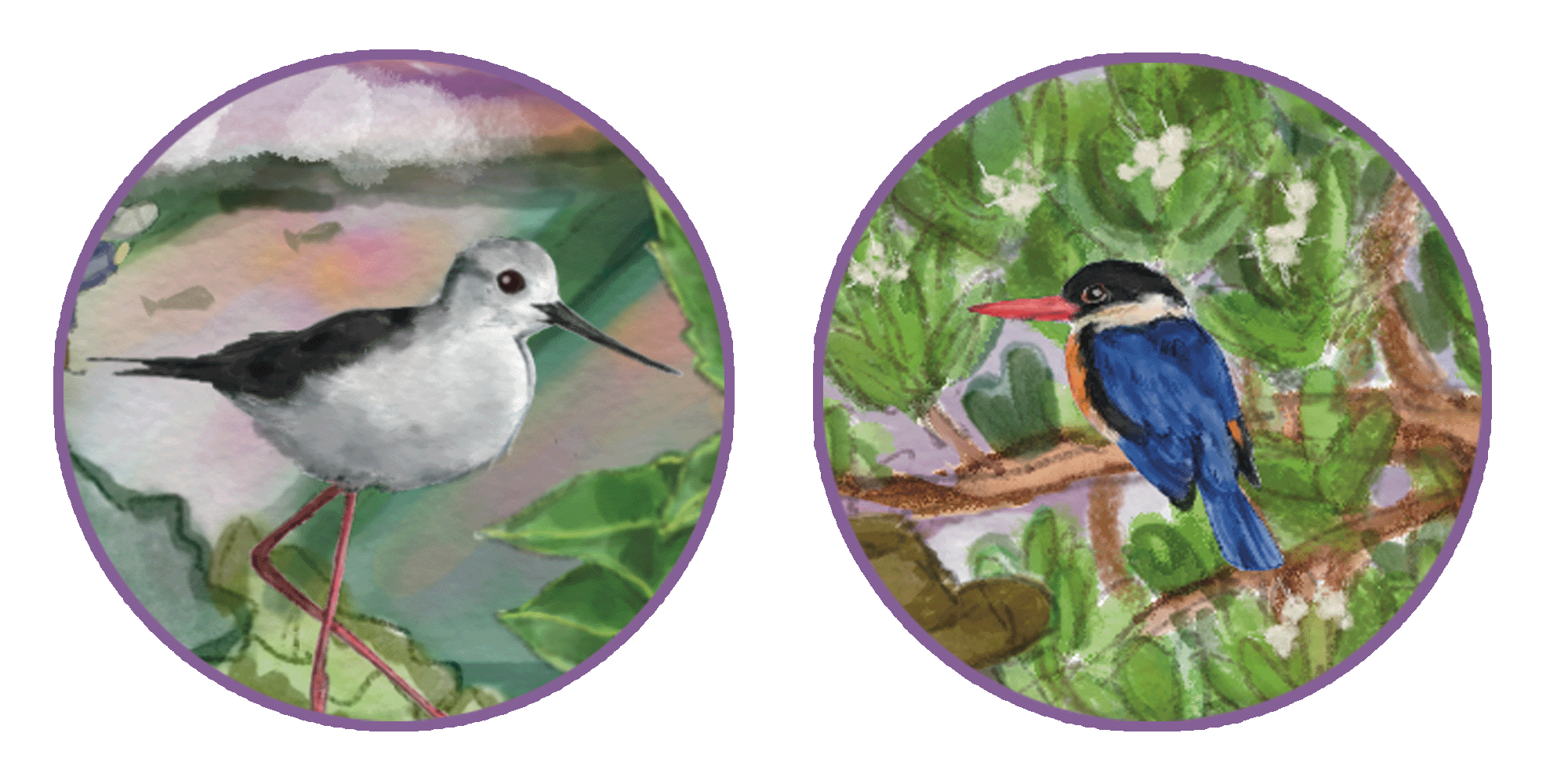 MangroveHoney bird resize