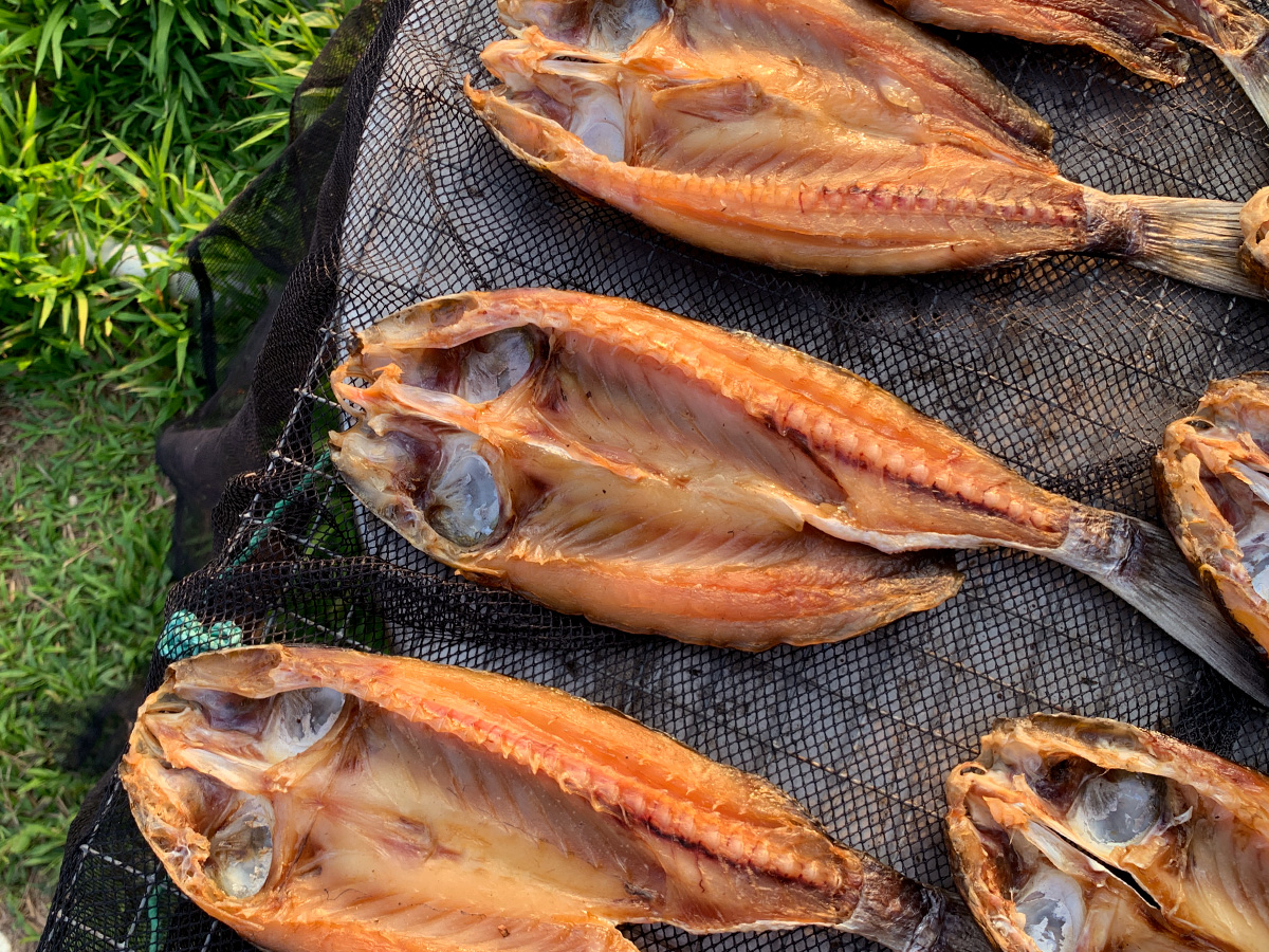 元朗烏頭生態魚乾