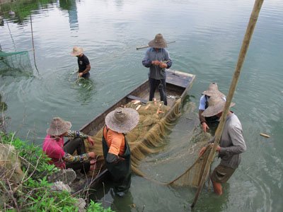 魚塘運作程序