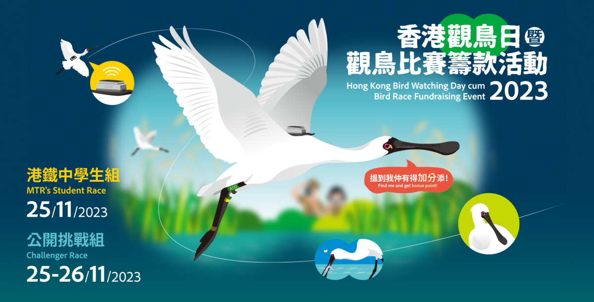 立即報名參加「香港觀鳥日暨觀鳥比賽籌款活動」！