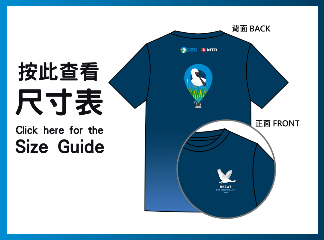 httpscms.hkbws.org.hkcmsattachmentscategory624RaceTeeSizeGuide2023.pdf 1