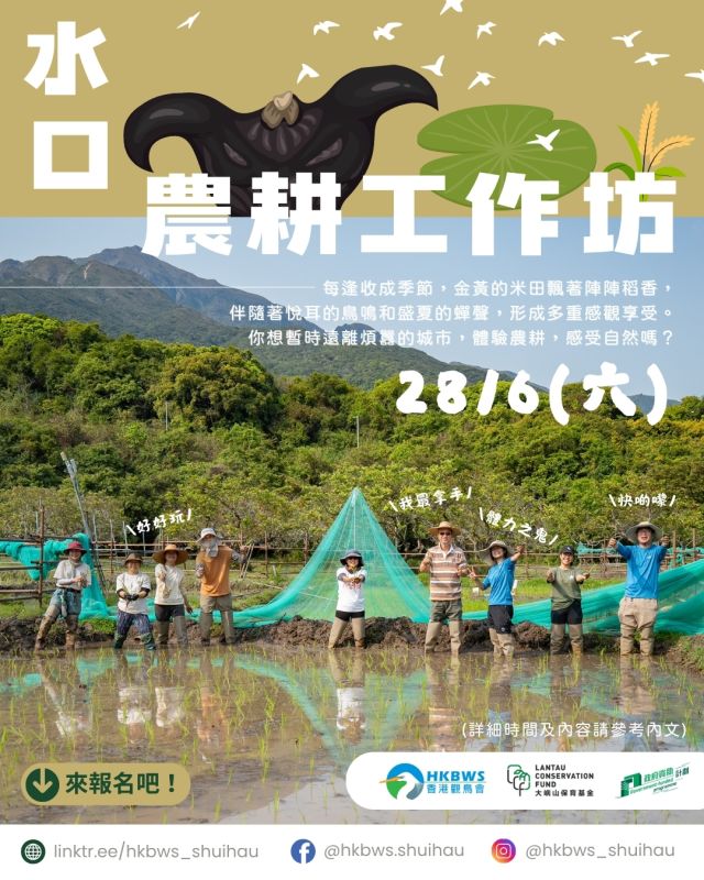 水口農耕工作坊