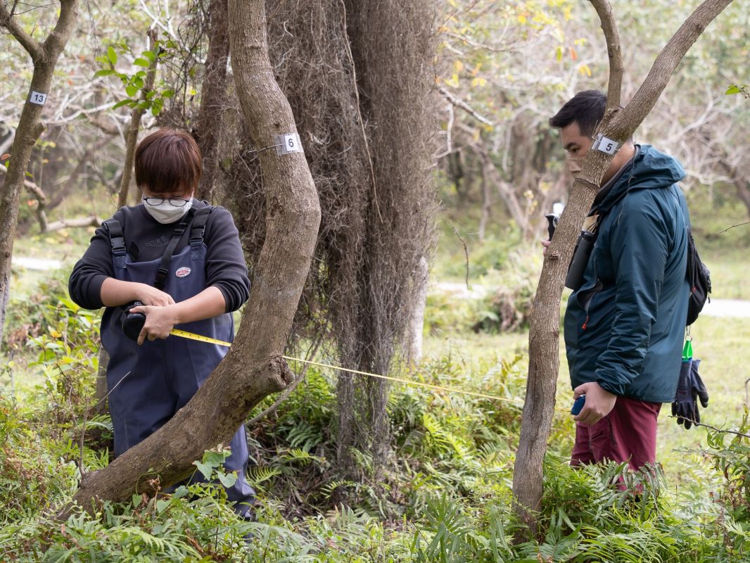 Tree Tagging
