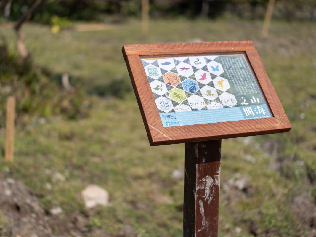 Wooden Information Boards Installation