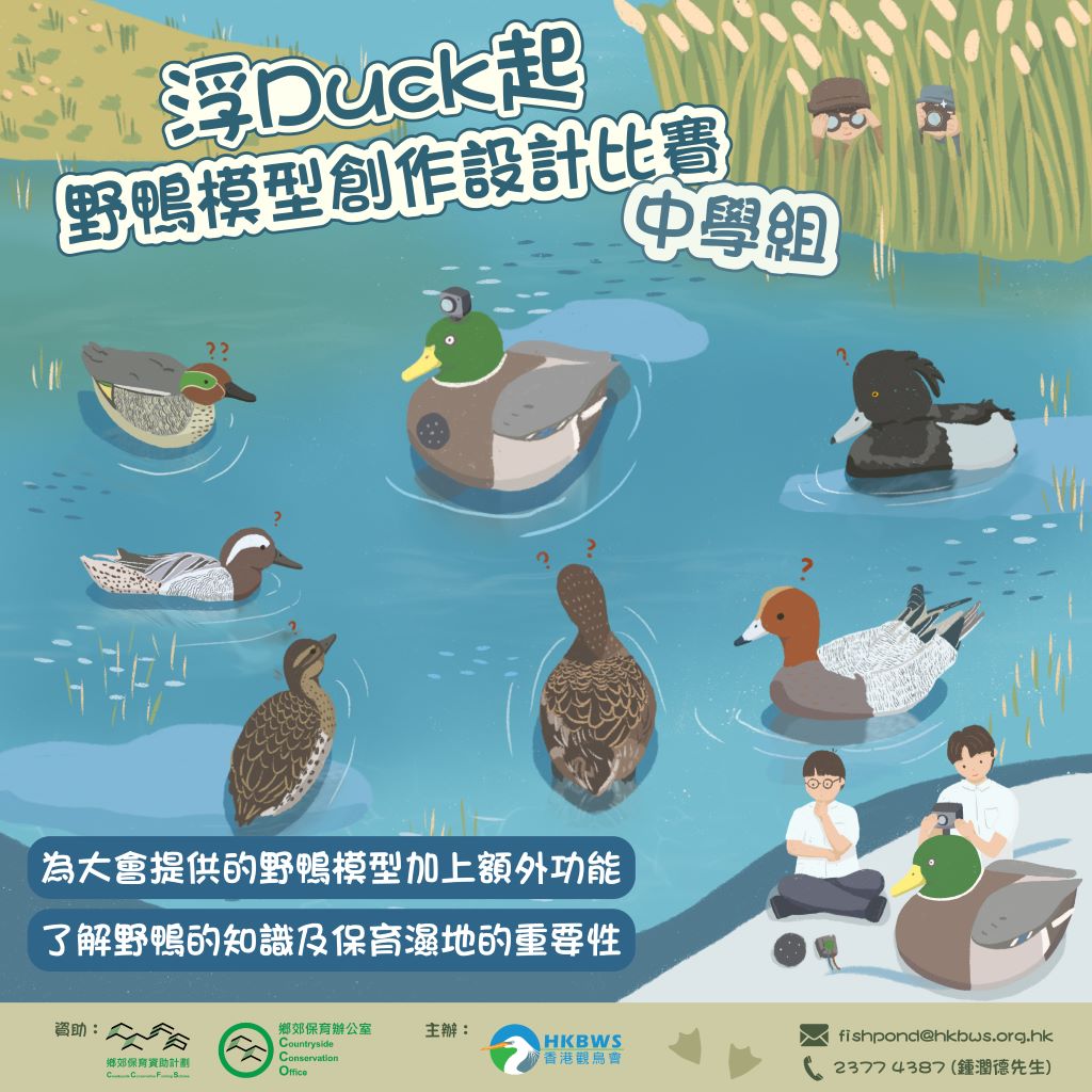 浮Duck起野鴨模型創作設計比賽 (中學組)