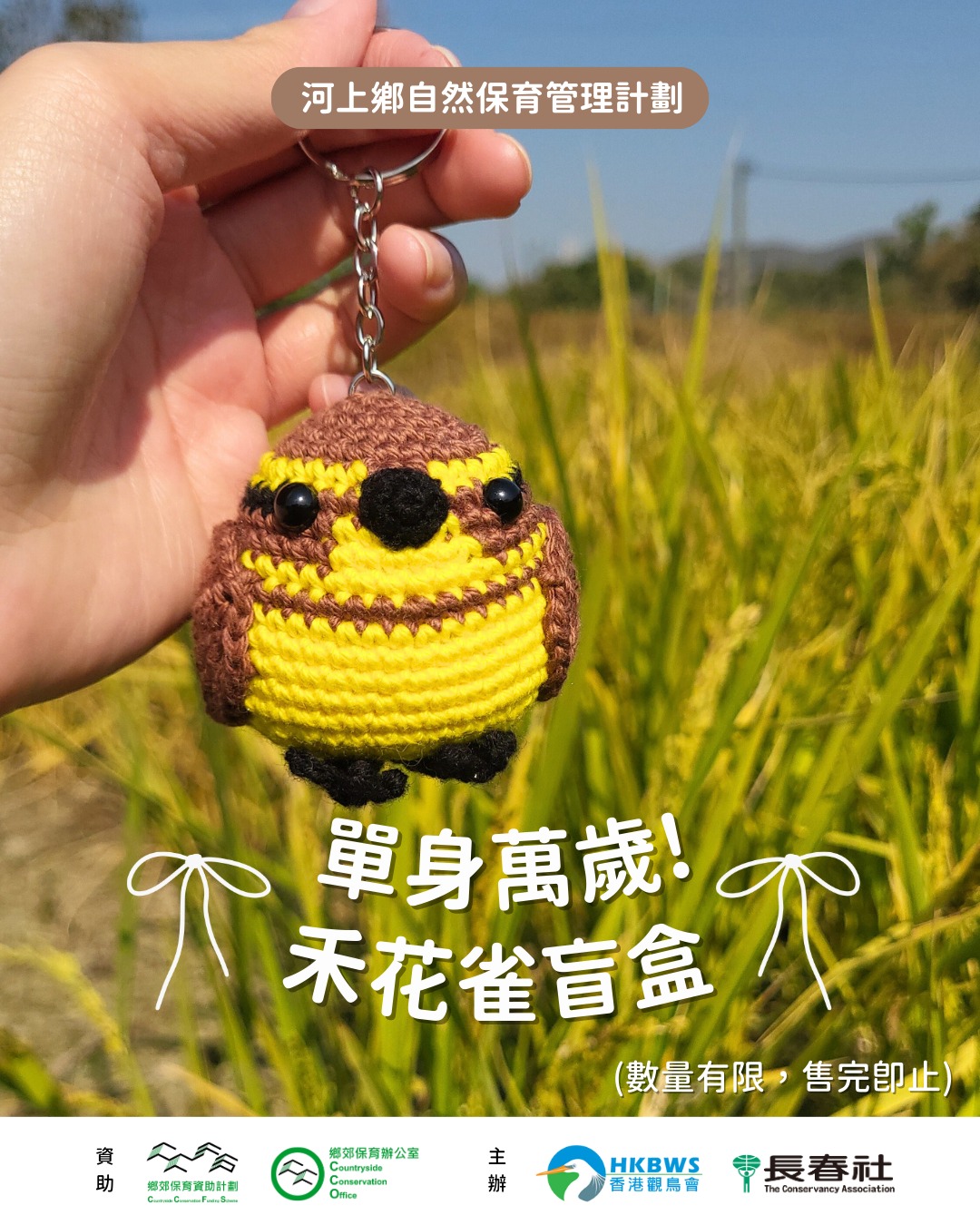 單身萬歲！禾花雀盲盒💛 Yellow-breasted Bunting hand-crocheted dolls 
