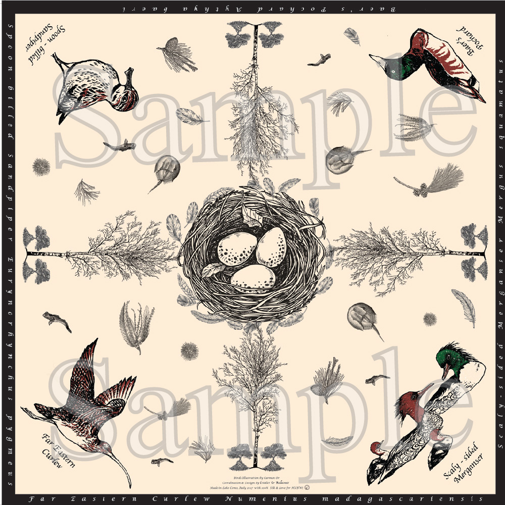 瀕危鳥類真絲絲巾 Scarf of Threatened Bird Species (公價 Fixed price)