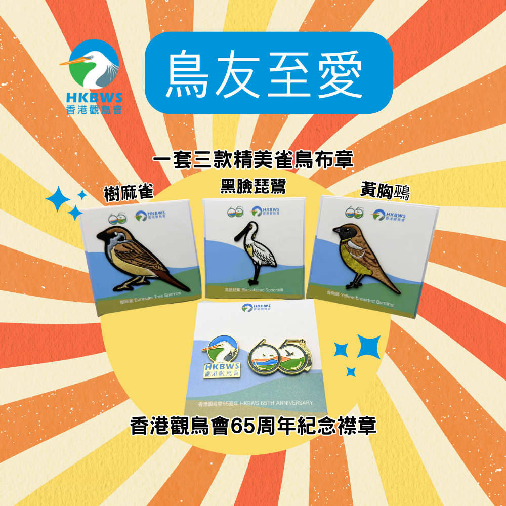 65周年紀念襟章及布章套裝 65th Anniversary Pin & Badges Package