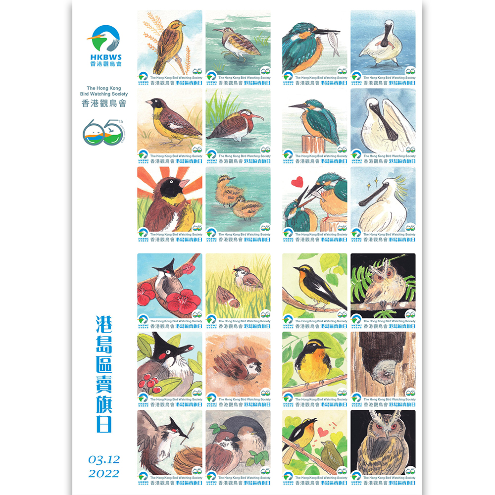 65週年賣旗日紀念金旗  65th Anniversary Commemorative Gold Flag
